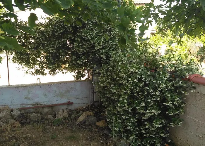 Aigani,maisonette, Kato Olympus, Sunrise View